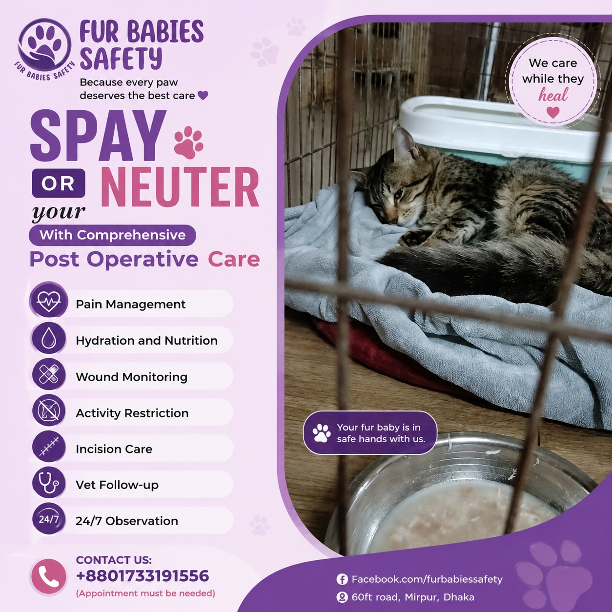 Spay and Neuter Services