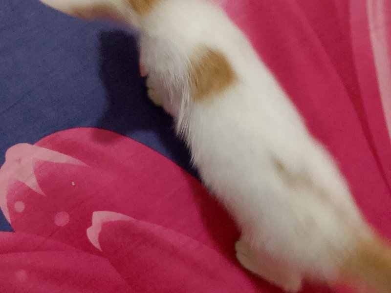 No name