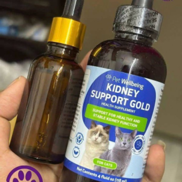 Kidney Support Gold Decant per ml