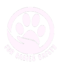 Pawtel
